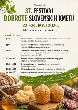 DSK 2026_program petek